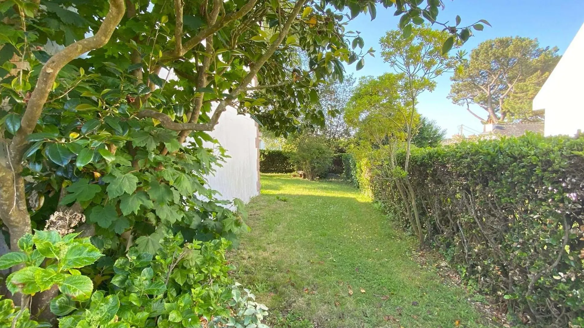 Maison A 320M De La Plage Avec Jardin A Tregastel - Fr-1-368-459